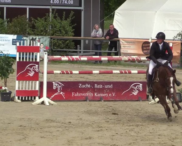 Reitturnier Kamen 2018