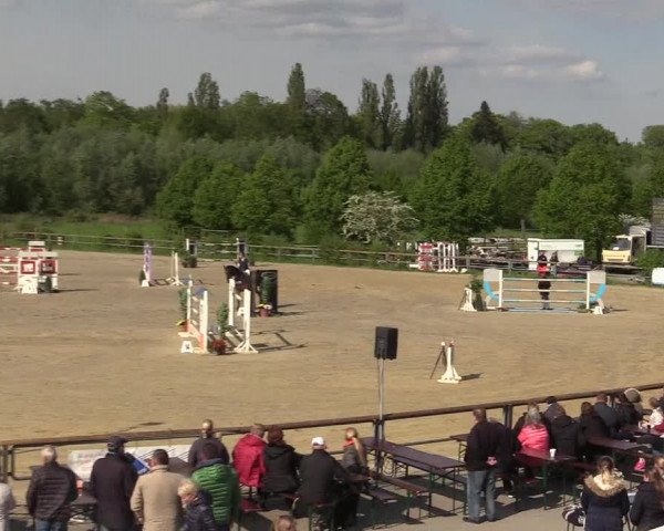 Reitturnier Kamen 2018