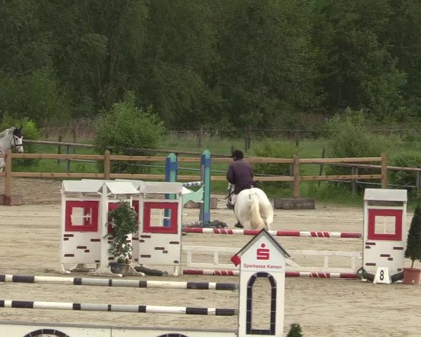 Reitturnier Kamen 2018