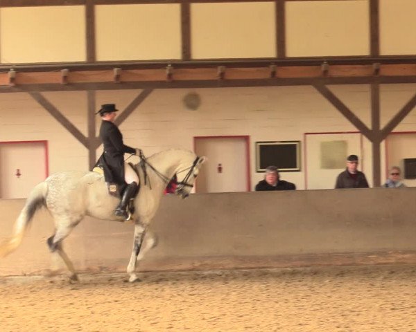 Reitturnier Kamen 2018