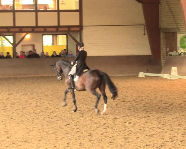 Reitturnier Kamen 2018