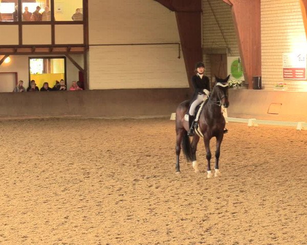 Reitturnier Kamen 2018