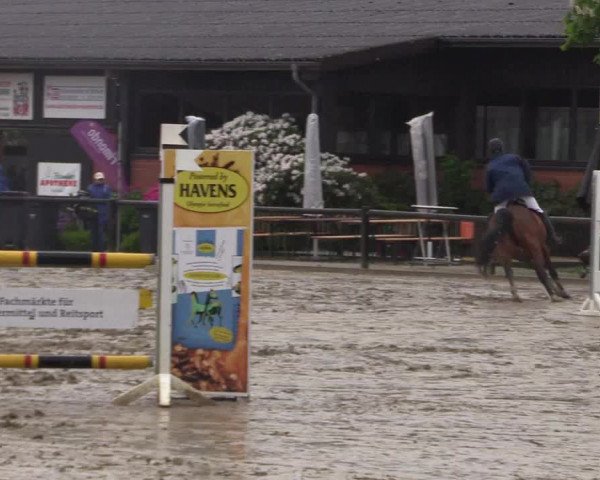 Reitturnier Havixbeck 2018