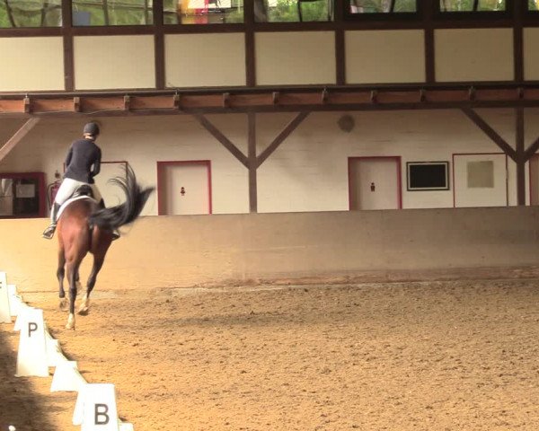 Reitturnier Kamen 2018