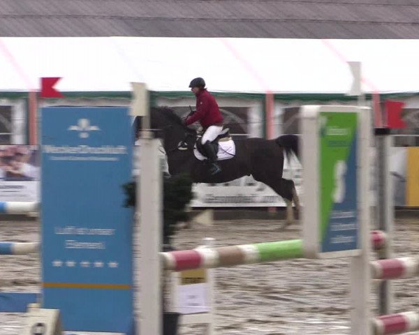 Reitturnier Havixbeck 2018