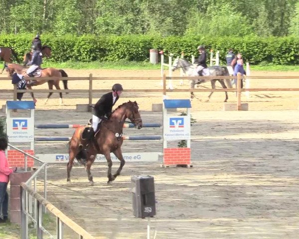 Reitturnier Kamen 2018