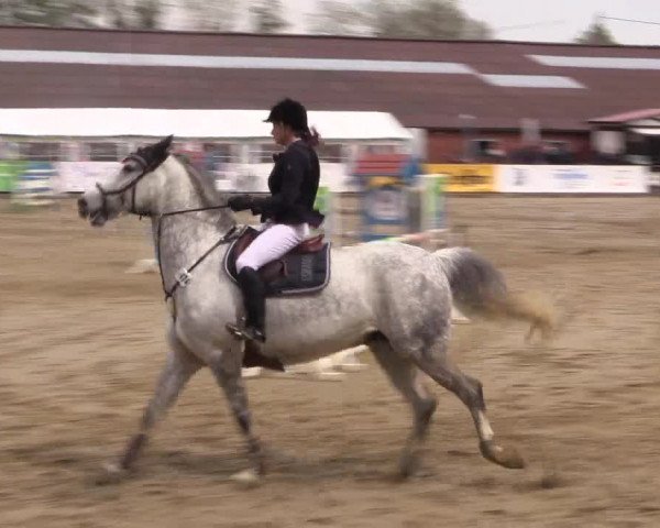 Reitturnier Havixbeck 2018