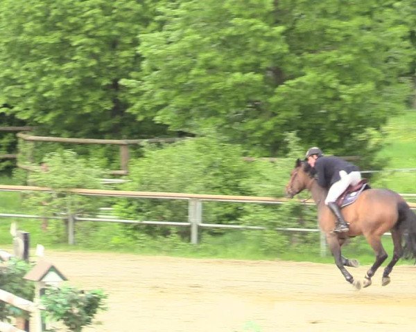 Reitturnier Kamen 2018