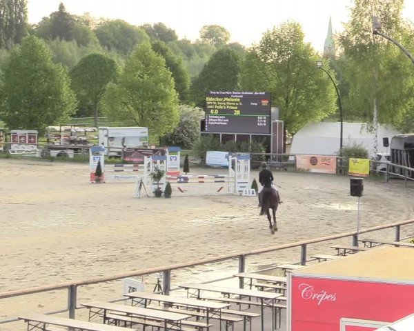 Reitturnier Kamen 2018