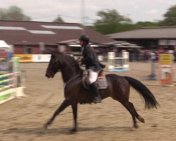 Reitturnier Havixbeck 2018