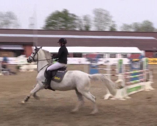 Reitturnier Havixbeck 2018