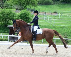 Dressurpferd Zerado de Imperio (KWPN (Niederländisches Warmblut), 2004, von Cabochon)