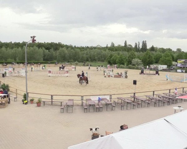 Reitturnier Kamen 2018