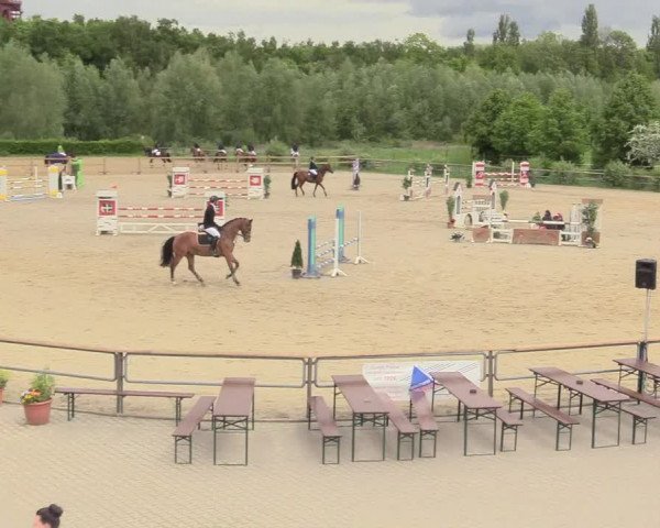 Reitturnier Kamen 2018