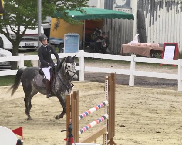 Reitturnier Leutkirch-Diepoldshofen 2018