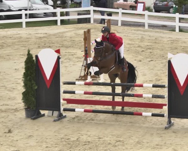 Reitturnier Leutkirch-Diepoldshofen 2018