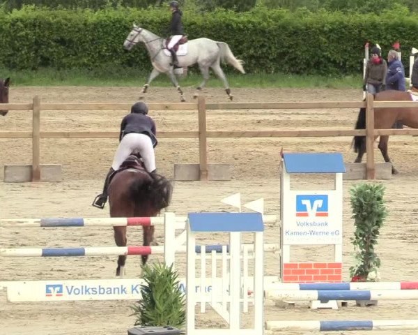 Reitturnier Kamen 2018