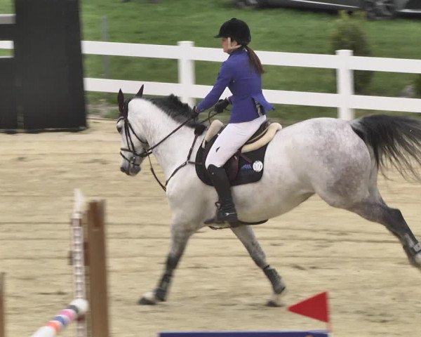 Reitturnier Leutkirch-Diepoldshofen 2018