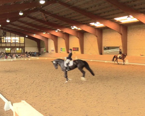 Reitturnier Kamen 2018