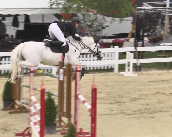 Reitturnier Leutkirch-Diepoldshofen 2018
