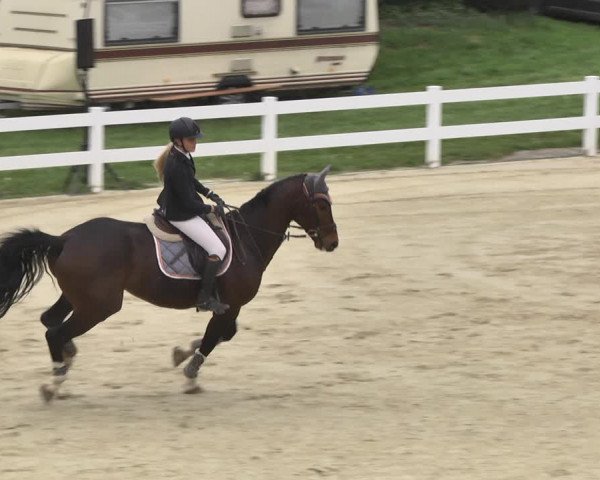 Reitturnier Leutkirch-Diepoldshofen 2018