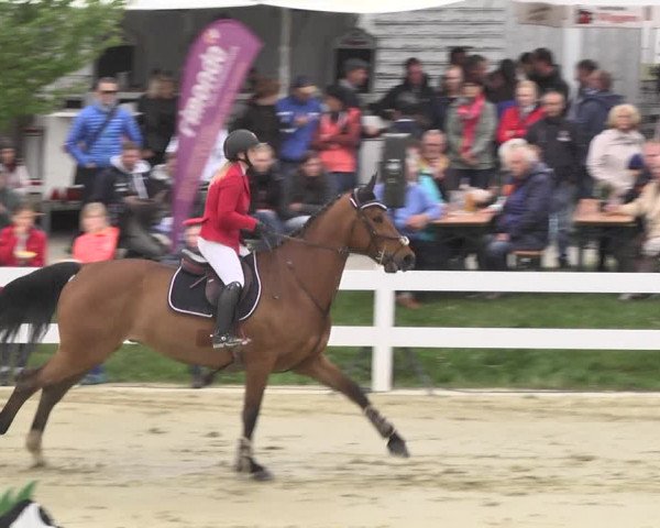 Reitturnier Leutkirch-Diepoldshofen 2018