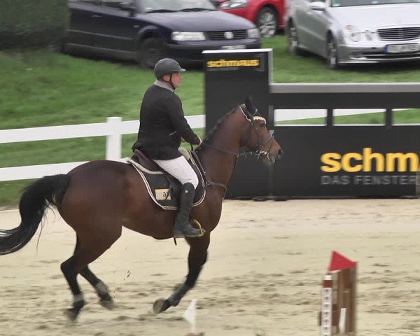Reitturnier Leutkirch-Diepoldshofen 2018
