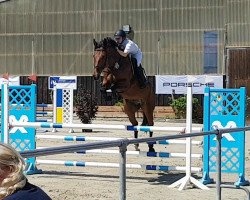 jumper Landino 152 (unknown, 2010)