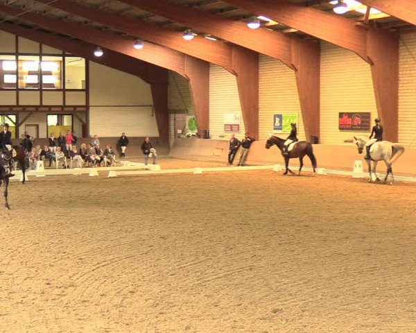 Reitturnier Kamen 2018