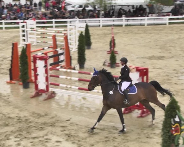 Reitturnier Leutkirch-Diepoldshofen 2018