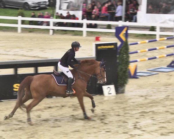 Reitturnier Leutkirch-Diepoldshofen 2018