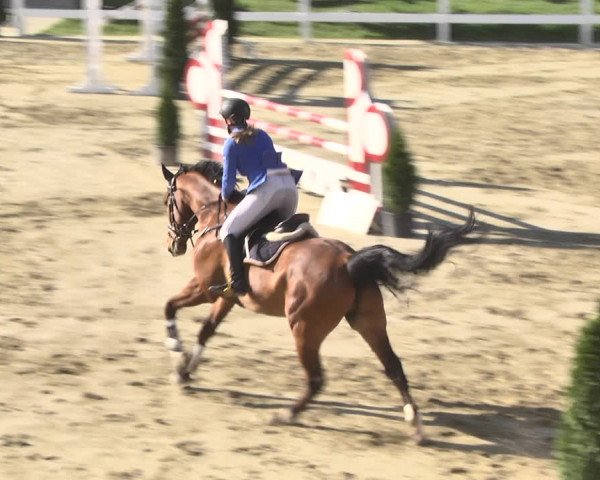 Reitturnier Leutkirch-Diepoldshofen 2018