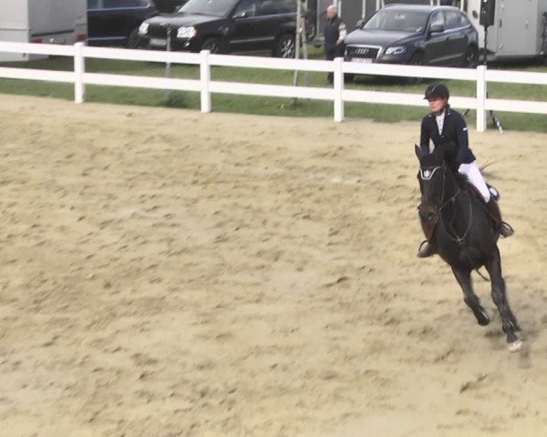 Reitturnier Leutkirch-Diepoldshofen 2018