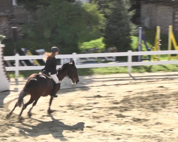 Reitturnier Leutkirch-Diepoldshofen 2018