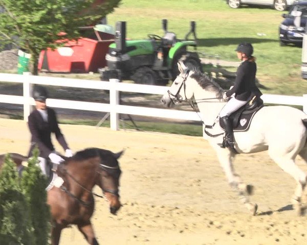 Reitturnier Leutkirch-Diepoldshofen 2018