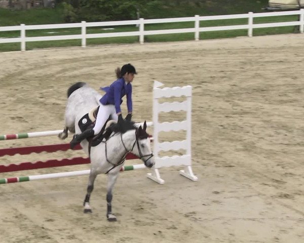 Reitturnier Leutkirch-Diepoldshofen 2018