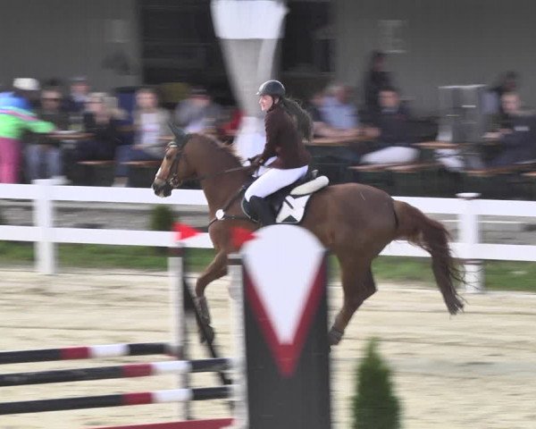 Reitturnier Leutkirch-Diepoldshofen 2018