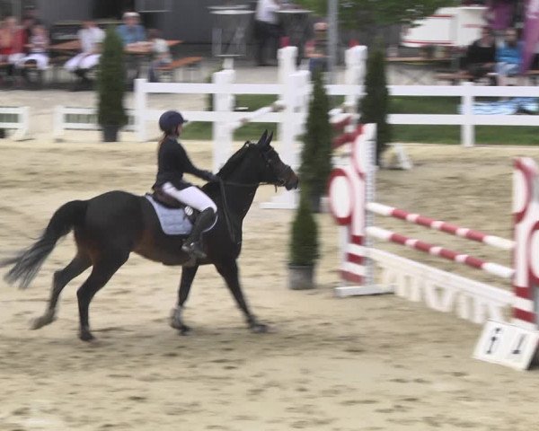 Reitturnier Leutkirch-Diepoldshofen 2018