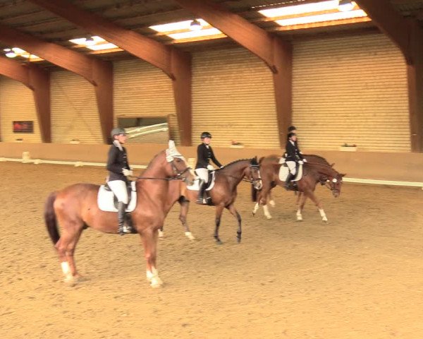 Reitturnier Kamen 2018