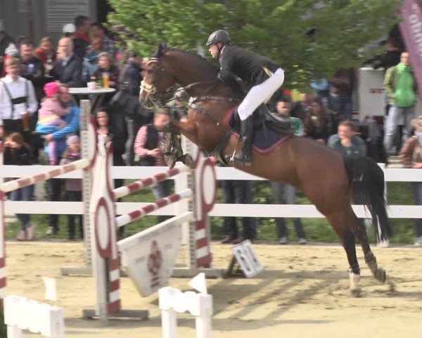 Reitturnier Leutkirch-Diepoldshofen 2018