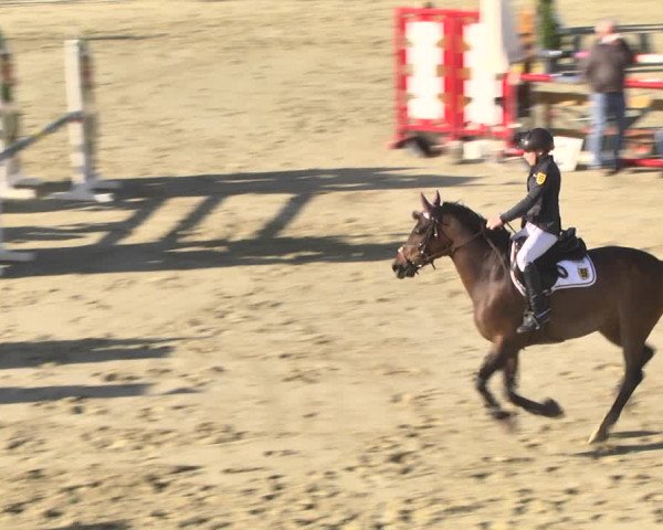 Reitturnier Leutkirch-Diepoldshofen 2018