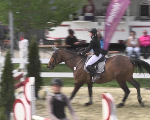Reitturnier Leutkirch-Diepoldshofen 2018