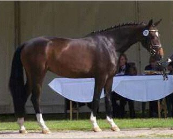 broodmare Light my Fire (Oldenburg, 2010, from Fidertanz)