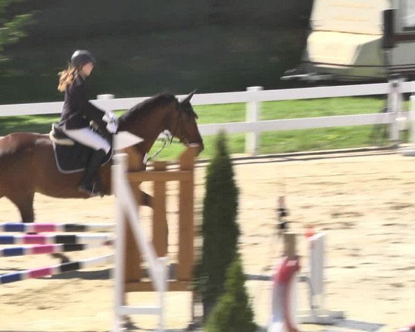 Reitturnier Leutkirch-Diepoldshofen 2018