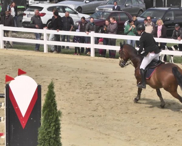 Reitturnier Leutkirch-Diepoldshofen 2018