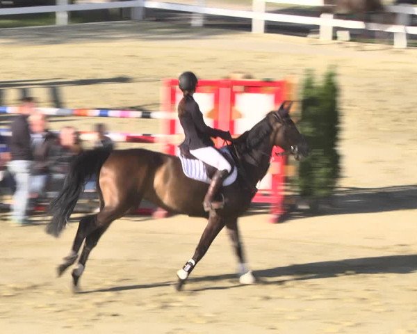 Reitturnier Leutkirch-Diepoldshofen 2018