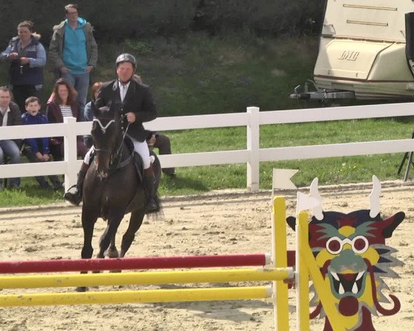 Reitturnier Leutkirch-Diepoldshofen 2018