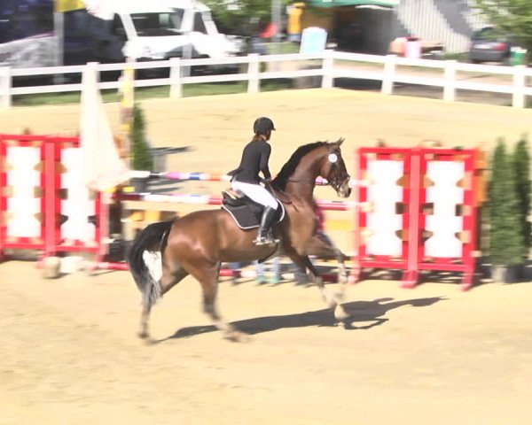 Reitturnier Leutkirch-Diepoldshofen 2018