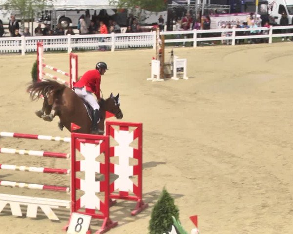 Reitturnier Leutkirch-Diepoldshofen 2018