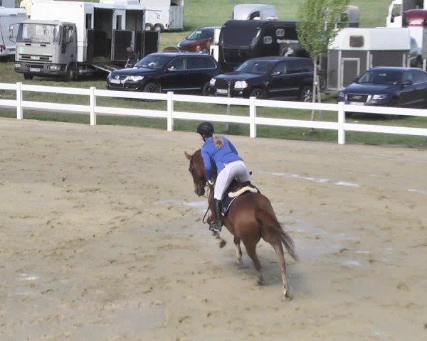 Reitturnier Leutkirch-Diepoldshofen 2018
